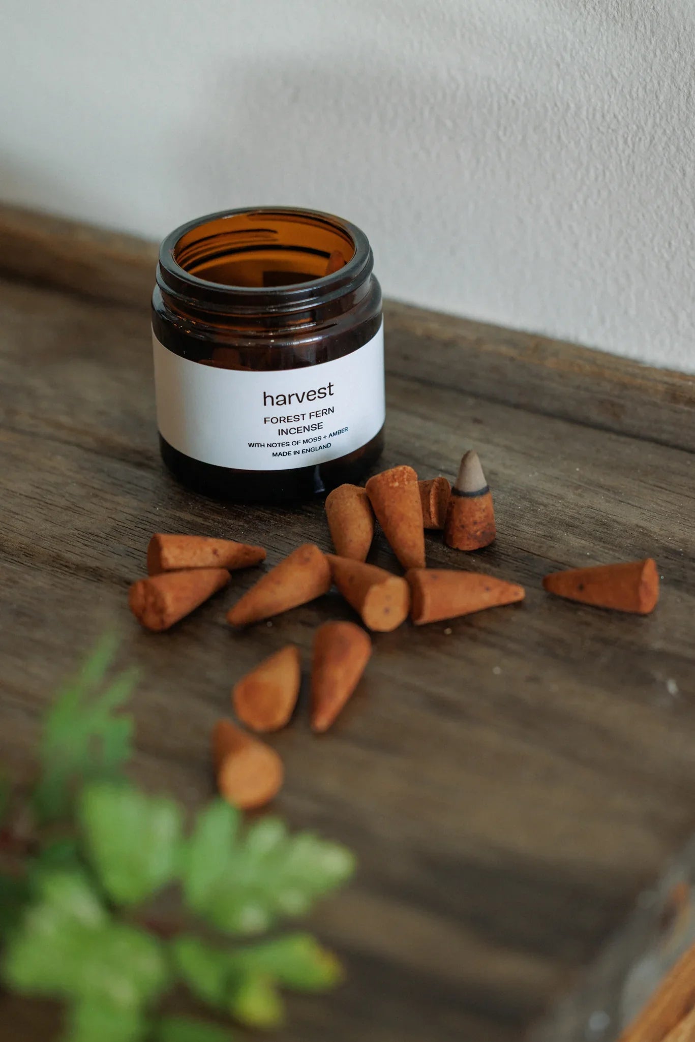 Harvest | Forest Fern Incense Cones