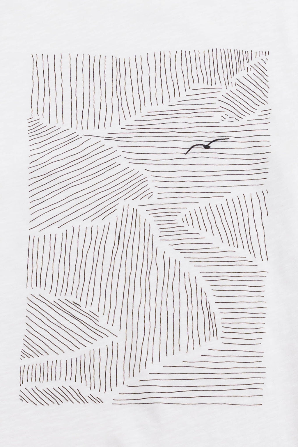 Contrast Sleeve T-Shirt - Seagull Stripe