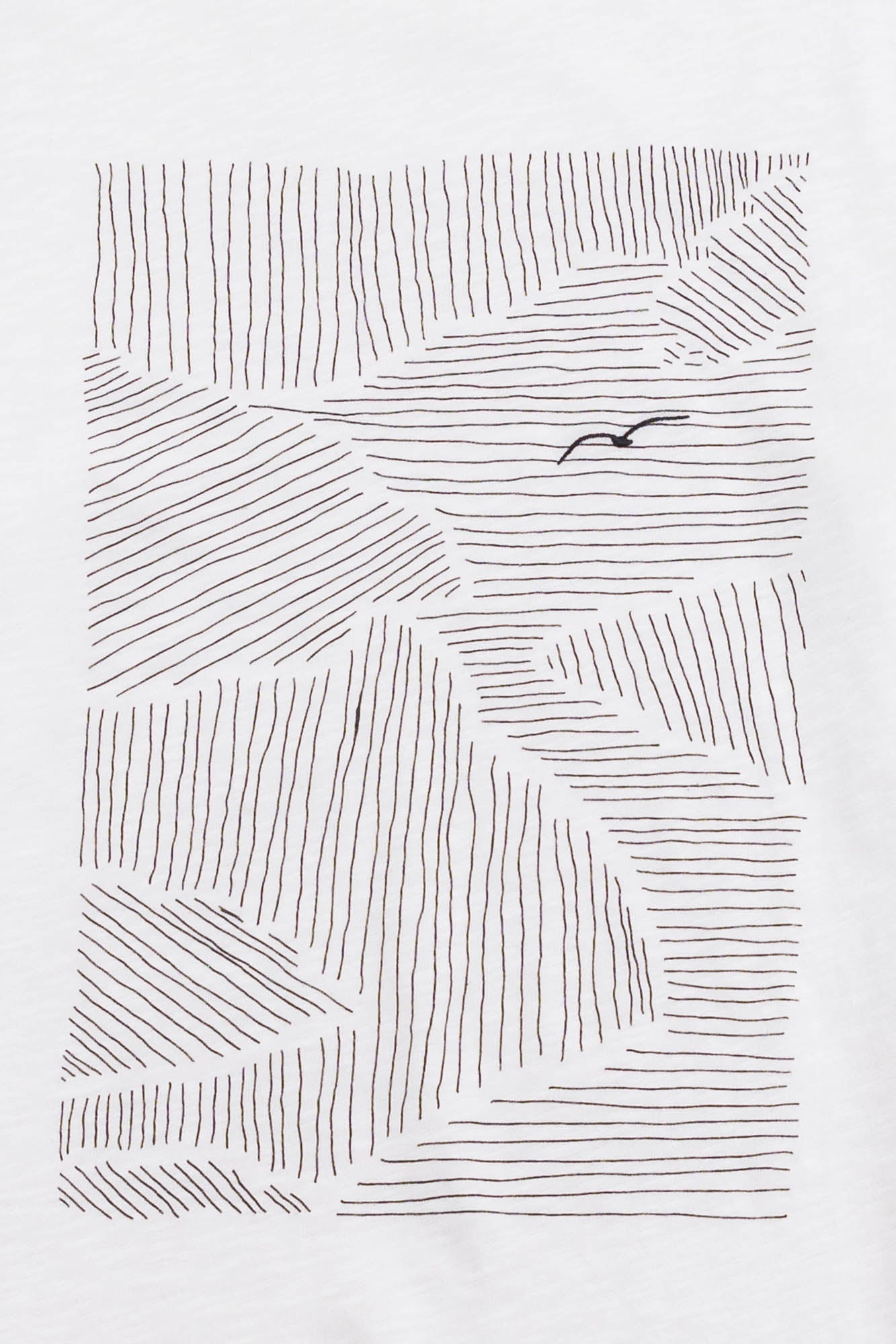 Contrast Sleeve T-Shirt - Seagull Stripe
