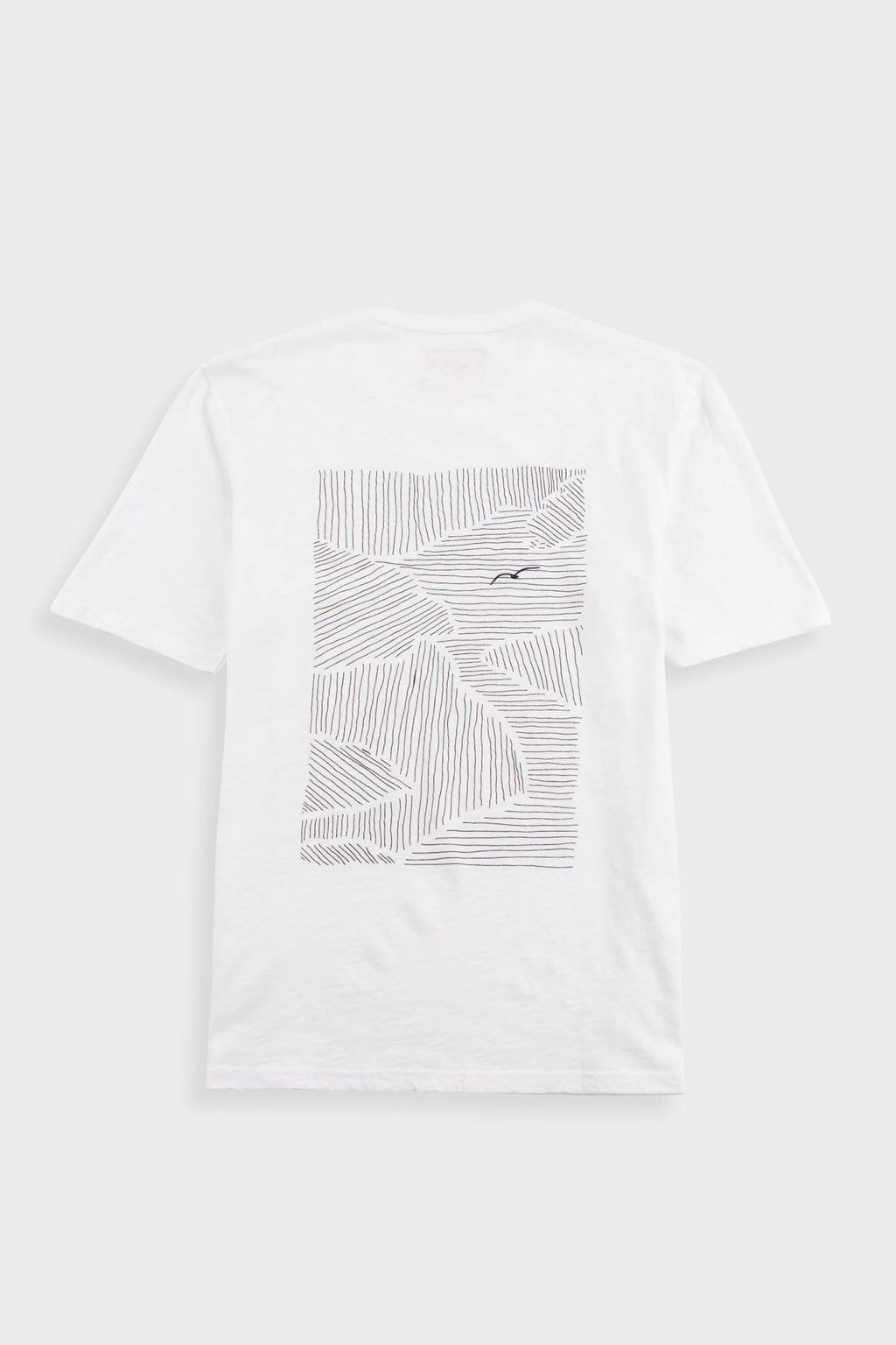 Contrast Sleeve T-Shirt - Seagull Stripe