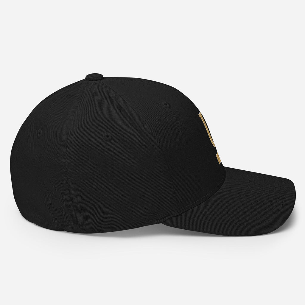 Soul Crown Structured Cap